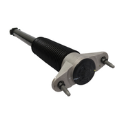 Opt OEM REAR DAMPER ASSEMBLY for New Model 3