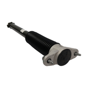 Opt OEM DAMPER ASSEMBLY - REAR WHEEL DRIVE - REAR for Model Y