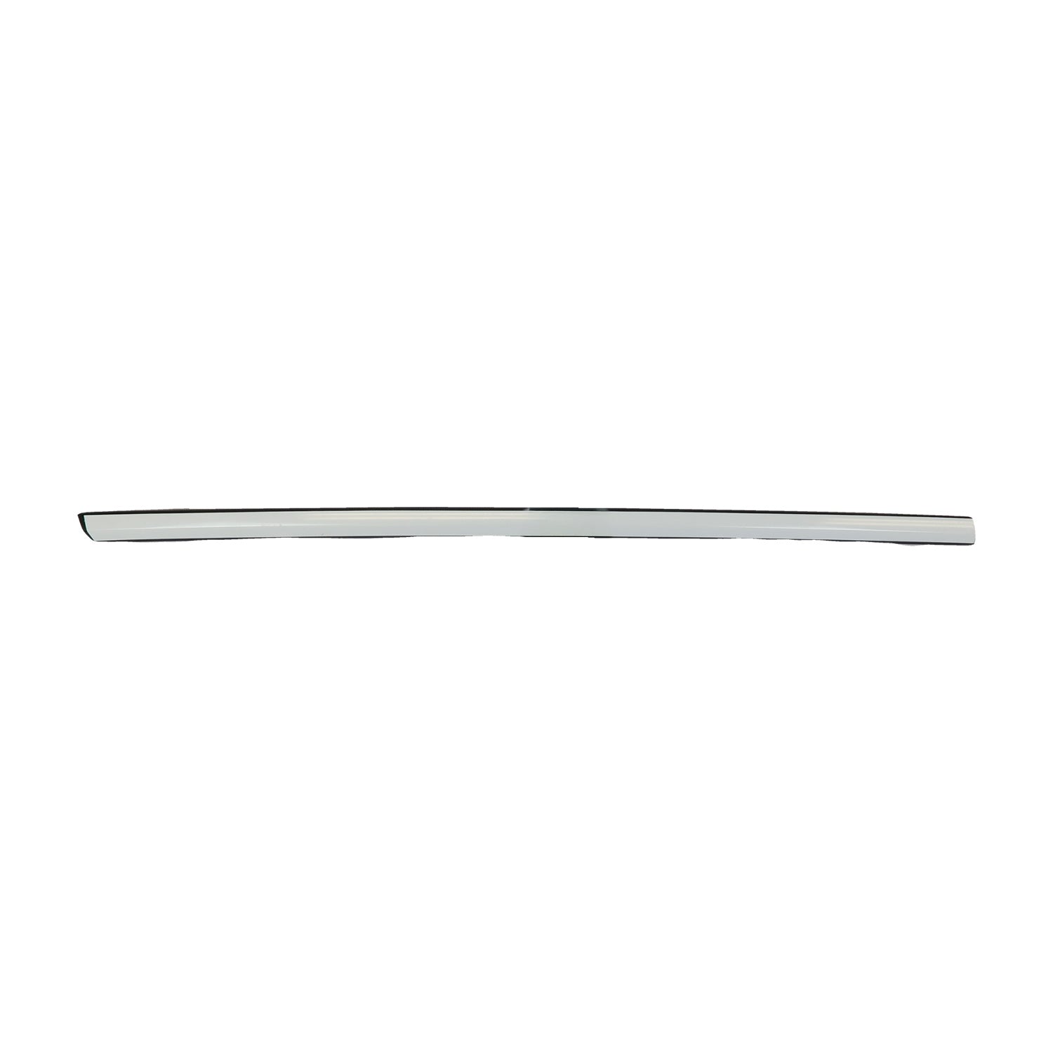 RIGHT FRONT DOOR OUTER BELT ASSEMBLY Model 3 2017-2023